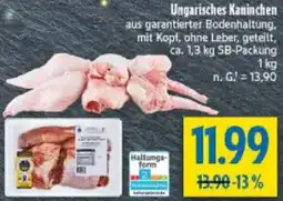 diska Ungarisches Kaninchen Angebot