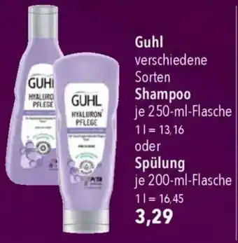 CITTI Markt Guhl Shampoo oder Spülung Angebot