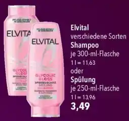 CITTI Markt Elvital Shampoo oder Spülung Angebot