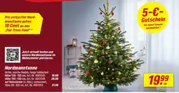 toom Baumarkt Nordmanntanne Angebot