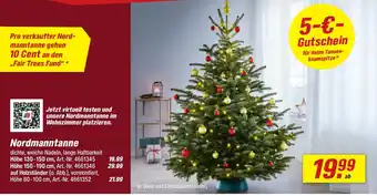 toom Baumarkt Nordmanntanne Angebot