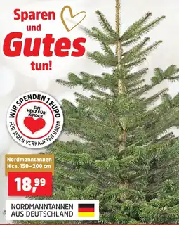 Thomas Philipps Nordmanntannen Angebot