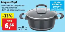 Thomas Philipps Aluguss-Topf Angebot