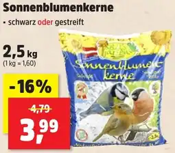 Thomas Philipps Bird's Garden Sonnenblumenkerne Angebot
