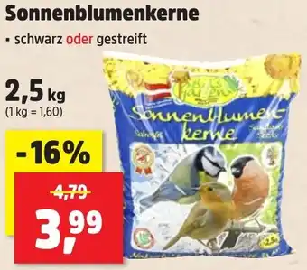 Thomas Philipps Bird's Garden Sonnenblumenkerne Angebot