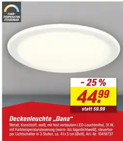 toom Baumarkt Deckenleuchte „Dana" Angebot