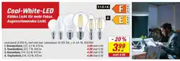 toom Baumarkt PHILIPS Cool-White-LED Angebot