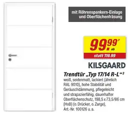 toom Baumarkt KILSGAARD Trendtür „Typ 17/14 R-L❝3 Angebot