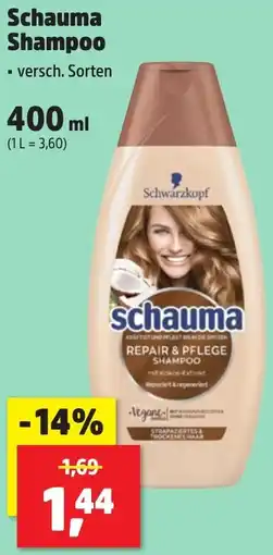 Thomas Philipps Schauma Shampoo Angebot