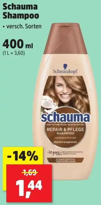 Thomas Philipps Schauma Shampoo Angebot