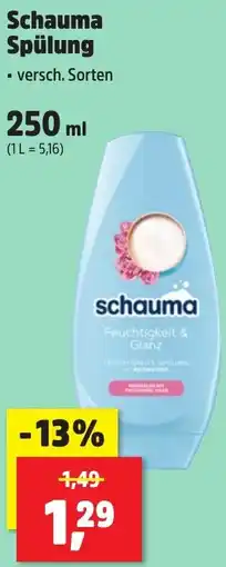 Thomas Philipps Schauma Spülung Angebot