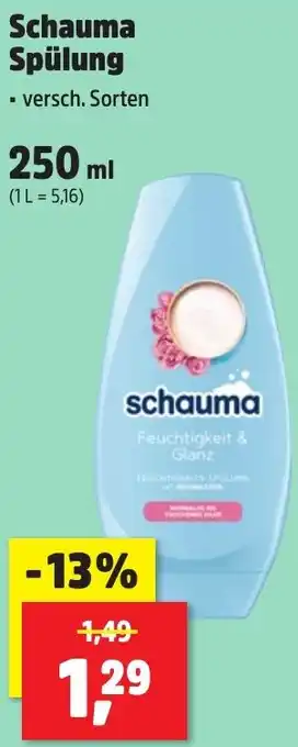 Thomas Philipps Schauma Spülung Angebot