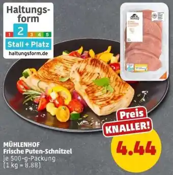 PENNY MÜHLENHOF Frische Puten-Schnitzel Angebot