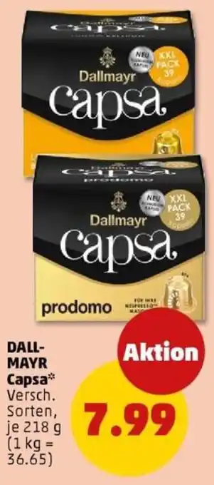 PENNY DALL-MAYR Capsa Angebot