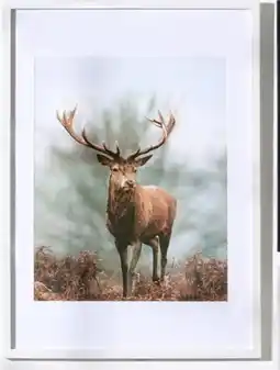 Woolworth Bilderrahmen Angebot