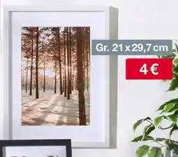 Woolworth Bilderrahmen Angebot