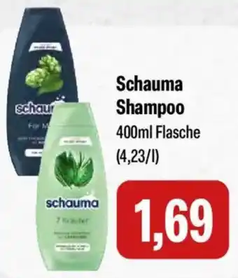 Feneberg Schauma Shampoo Angebot