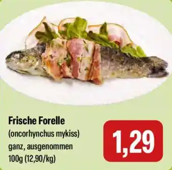 Feneberg Frische Forelle Angebot