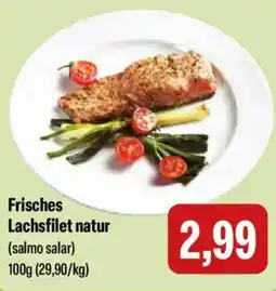 Feneberg Frisches Lachsfilet natur Angebot