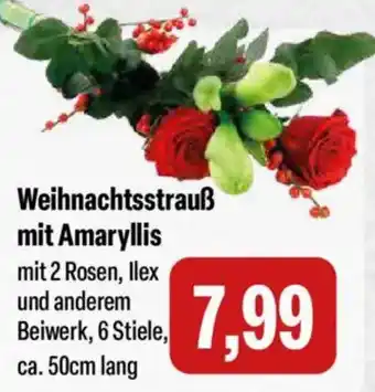 Feneberg Weihnachtsstrauß mit Amaryllis Angebot