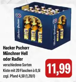 Feneberg Hacker Pschorr Münchner Hell oder Radler Angebot