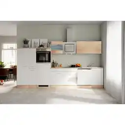 Netto Marken-Discount Flex-Well Küchenzeile G-360-2901-022 versch. Farben Angebot