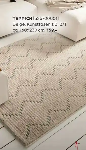 Möbel Buss Teppich Angebot