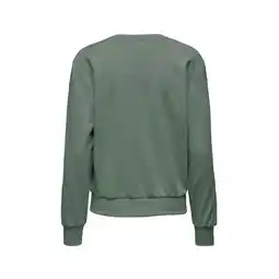 Netto Marken-Discount ONLY PLAY Pullover CAVA LIFE Sweatshirt Angebot