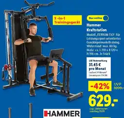 Lidl Hammer Kraftstation Angebot