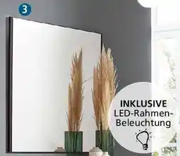 Zurbrüggen Voleo Spiegel Angebot