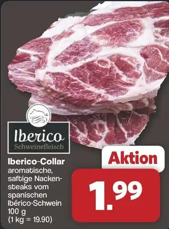 Famila Nord West Iberico Iberico Collar Angebot