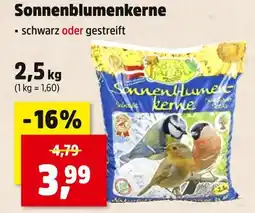 Thomas Philipps Sonnenblumenkerne schwarz Angebot
