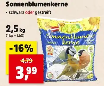 Thomas Philipps Sonnenblumenkerne schwarz Angebot