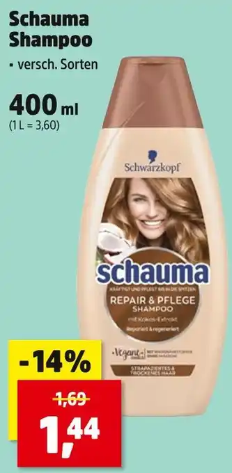 Thomas Philipps Schwarzkopf schauma shampoo Angebot