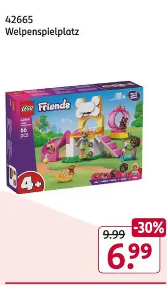 Rossmann Lego welpenspielplatz Angebot