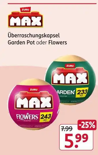 Rossmann Zuru überraschungskapsel garden pot oder flowers Angebot