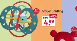 Rossmann Großer greifling Angebot