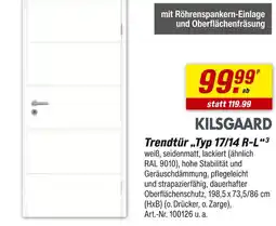 toom Baumarkt Kilsgaard trendtür typ 17/14 r-l Angebot