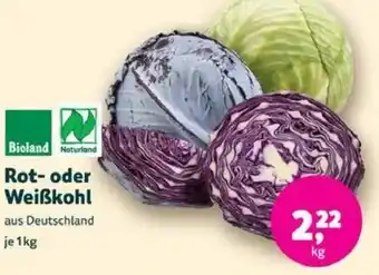 Rot- oder Weißkohl