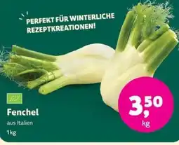 Biomarkt Fenchel Angebot