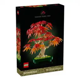 Netto Marken-Discount LEGO Botanical Collection Japanischer Roter Ahorn – Bonsai-Baum Angebot