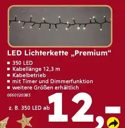 Globus Baumarkt LED Lichterkette „Premium" Angebot
