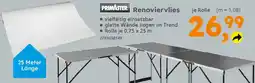 Globus Baumarkt PRIMASTER Renoviervlies Angebot