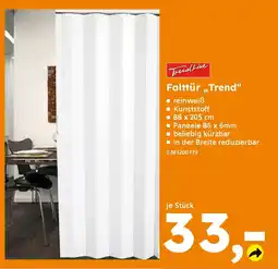 Globus Baumarkt TrendLine Falttür „Trend" Angebot