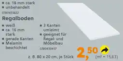 Globus Baumarkt Regalboden Angebot