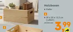 Globus Baumarkt Holzboxen Angebot