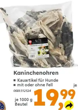 Globus Baumarkt Kaninchenohren Angebot