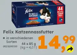 Globus Baumarkt Felix Katzennassfutter Angebot