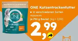 Globus Baumarkt ONE Katzentrockenfutter Angebot