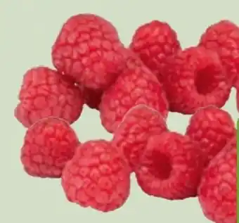 Edeka Xpress Driscoll's Himbeeren Angebot